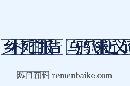 乡村死亡报告·乌鸦飞来近义词是什么意思的图片